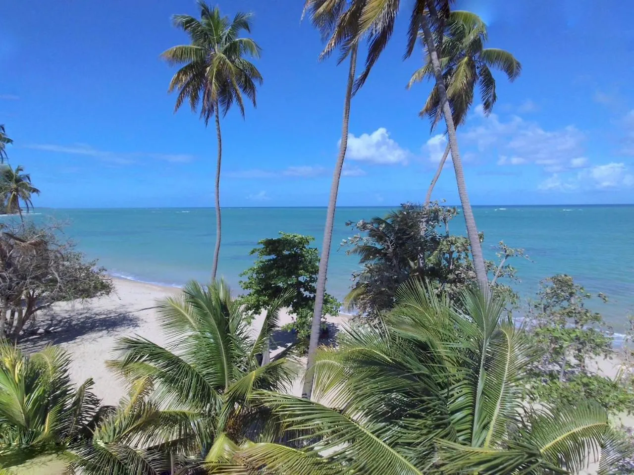 Aquatika Beach Resort & Waterpark Loiza 0*,  Puerto Rico